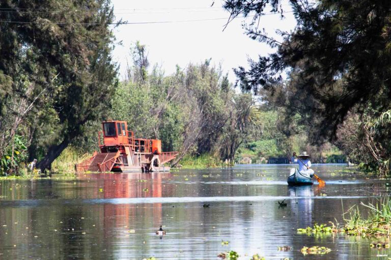 _Voy a la naturaleza para encontrar consuelo y sanación, y para poner en orden mis sentidos_. John Burroughs